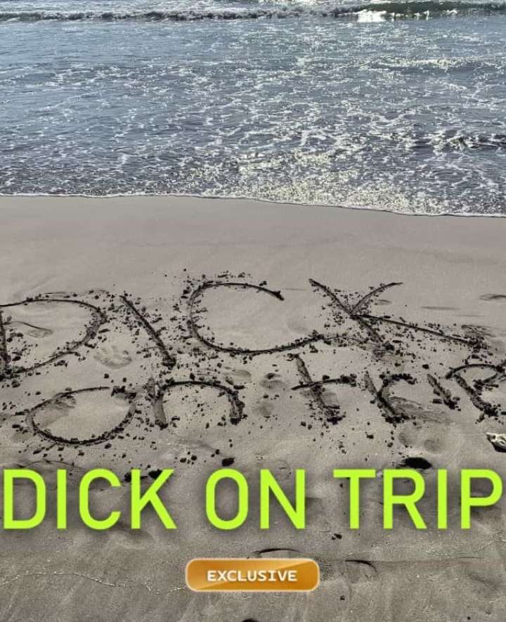 Dick på resa